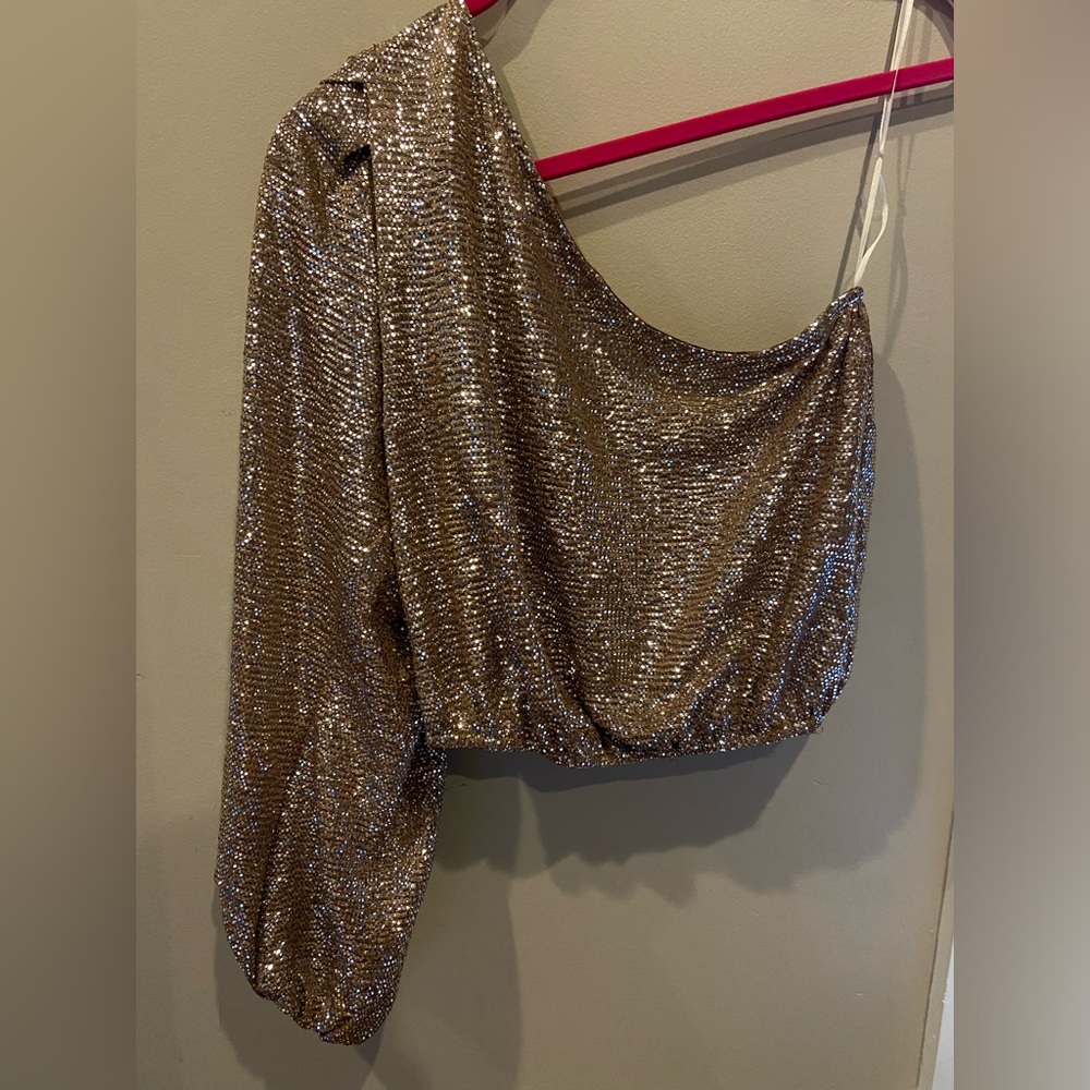 Show Me Your MuMu Glitter Crop Top